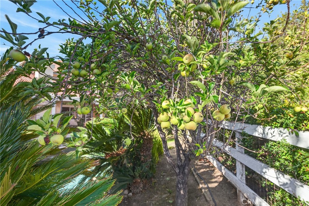 30767 Calle Pina Colada Property Photo 59
