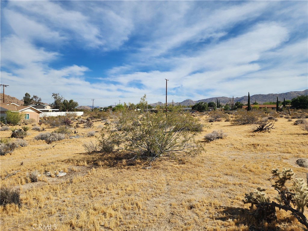 61665 Division Property Photo 1