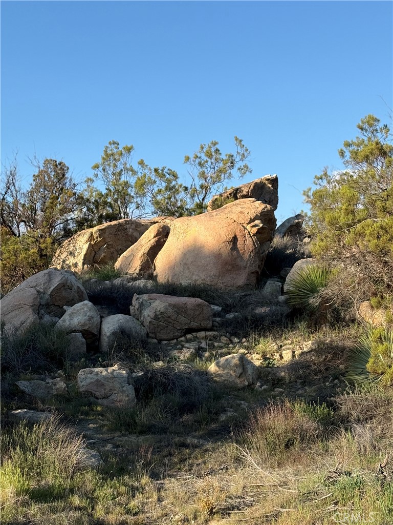 27232 Chihuahua Valley Property Photo 32