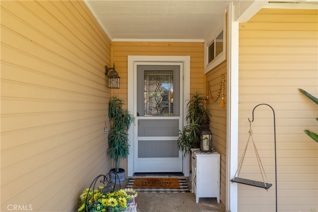 26014 Summer Dawn Court Property Photo 5