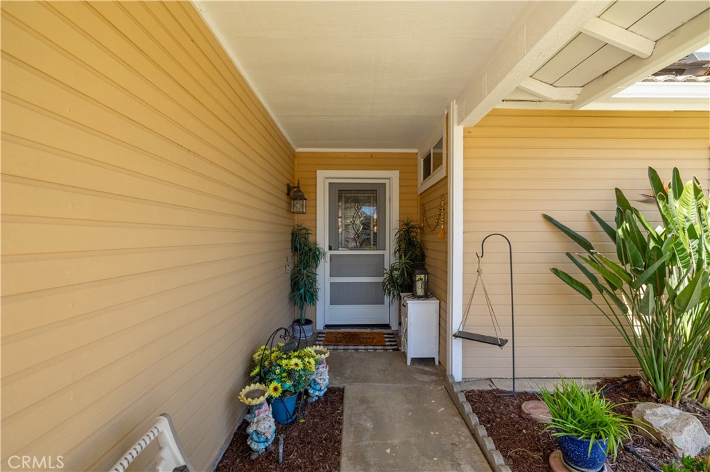26014 Summer Dawn Court Property Photo 6