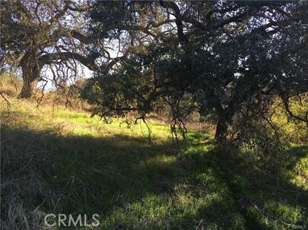 9 La Cruz Dr Property Photo 10