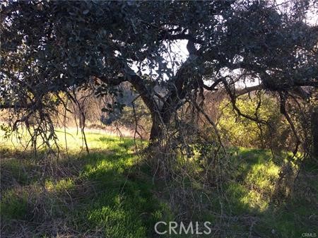 9 La Cruz Dr Property Photo 13