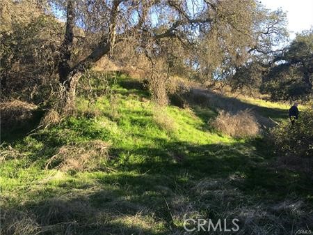 9 La Cruz Dr Property Photo 14
