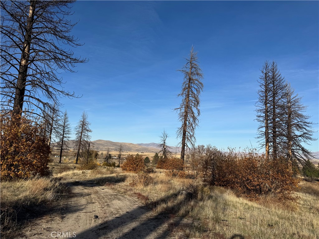 713400 Jeters Road Property Photo 4