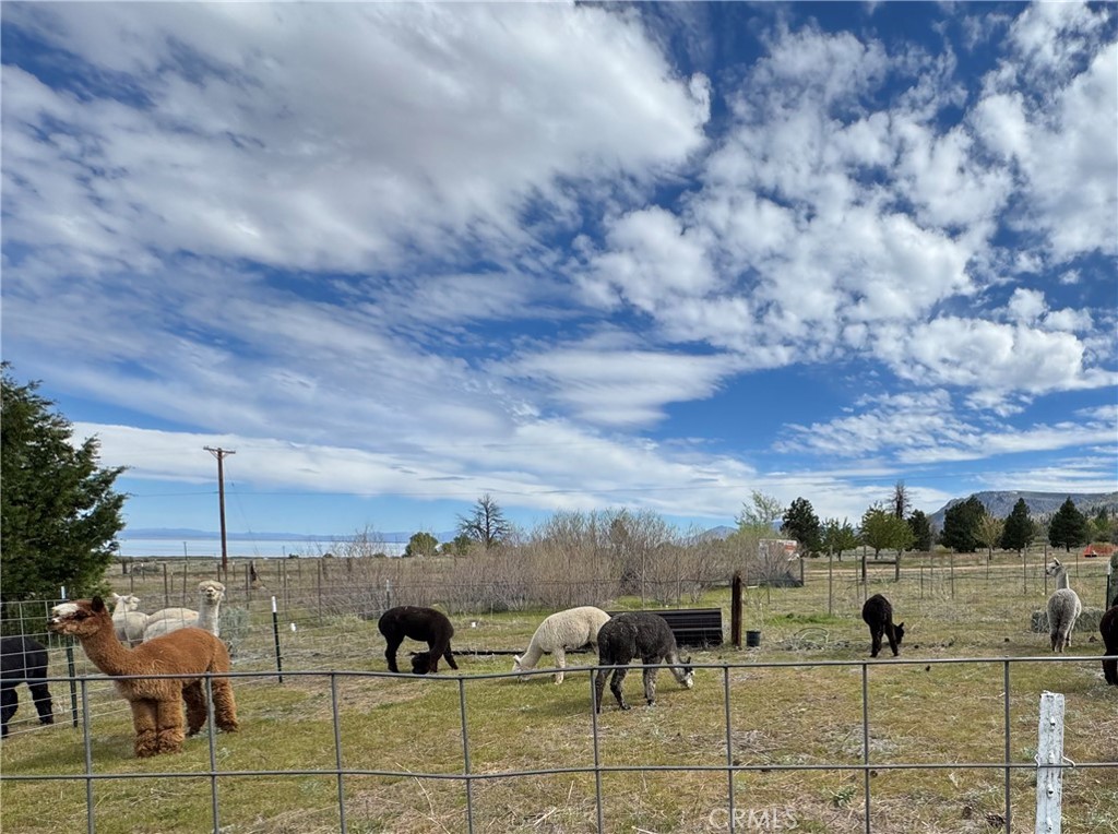 713400 Jeters Road Property Photo 5