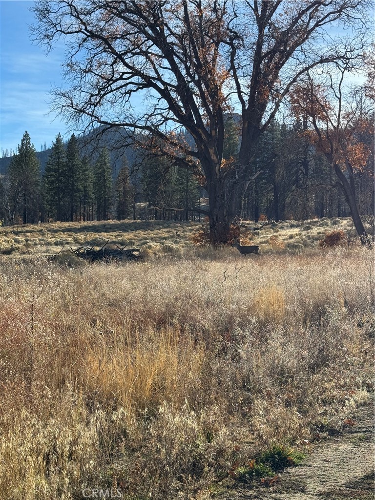 713400 Jeters Road Property Photo 6