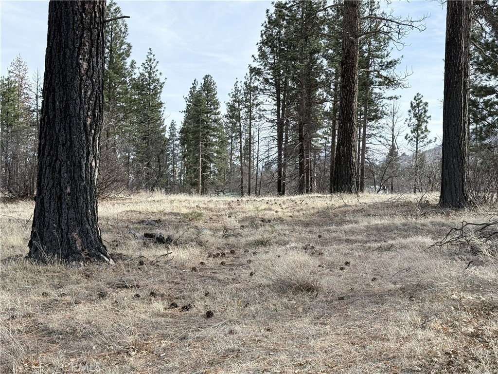 713400 Jeters Road Property Photo 7