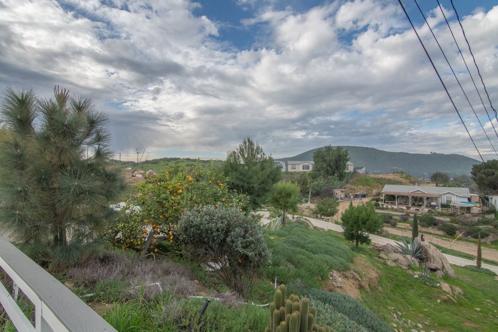 26460 Dale Property Photo 12