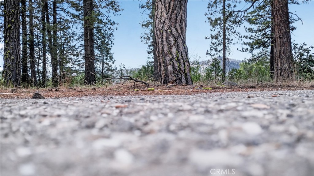 2500 Round Valley Road Property Photo 70