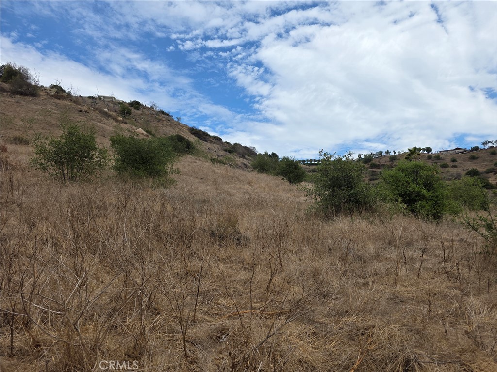 0 Live Oak Creek Circle Property Photo 3