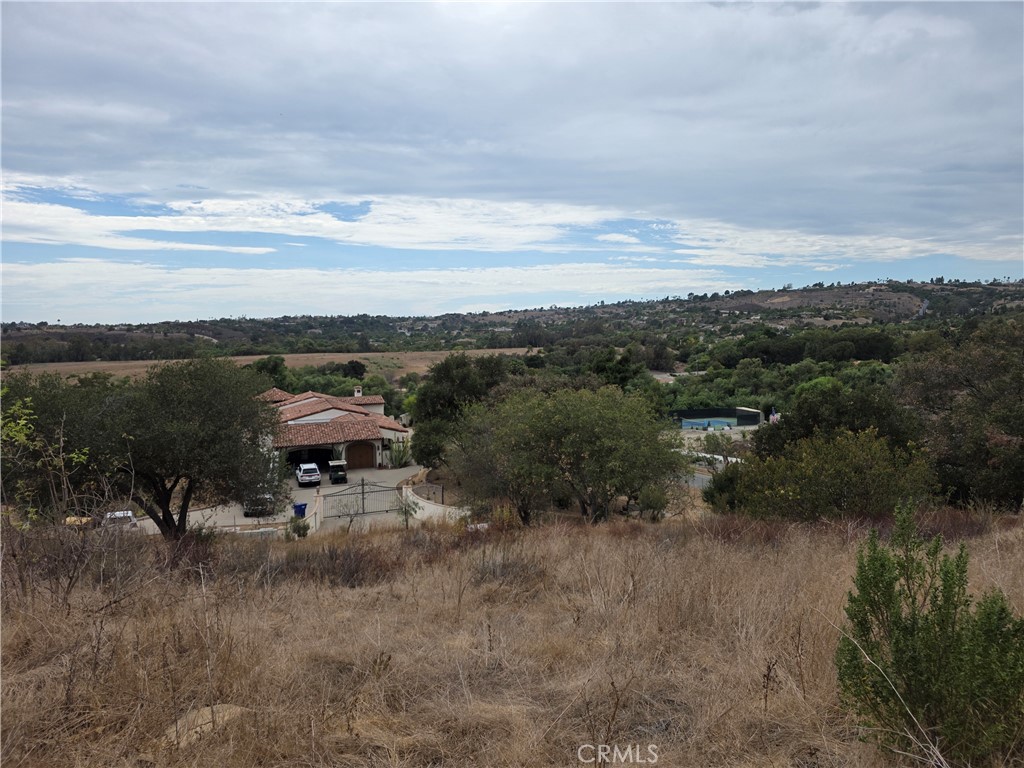 0 Live Oak Creek Circle Property Photo 6