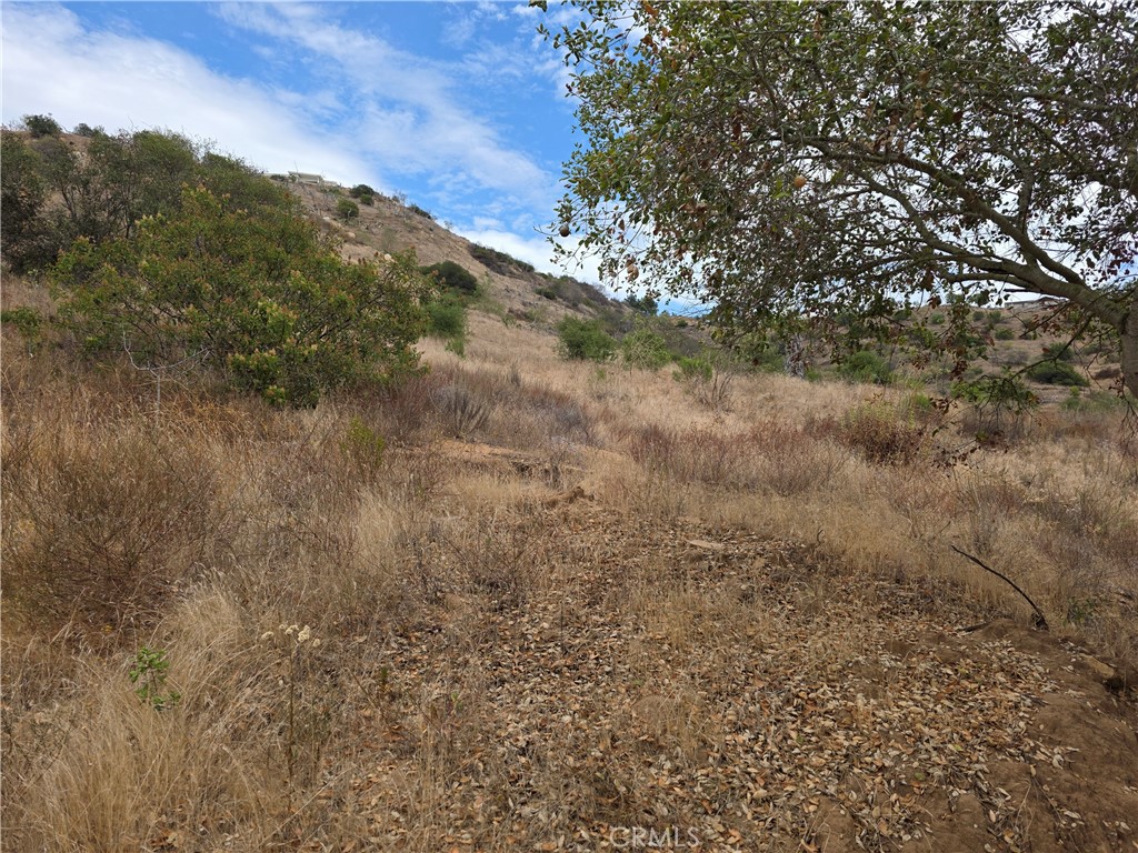 0 Live Oak Creek Circle Property Photo 7