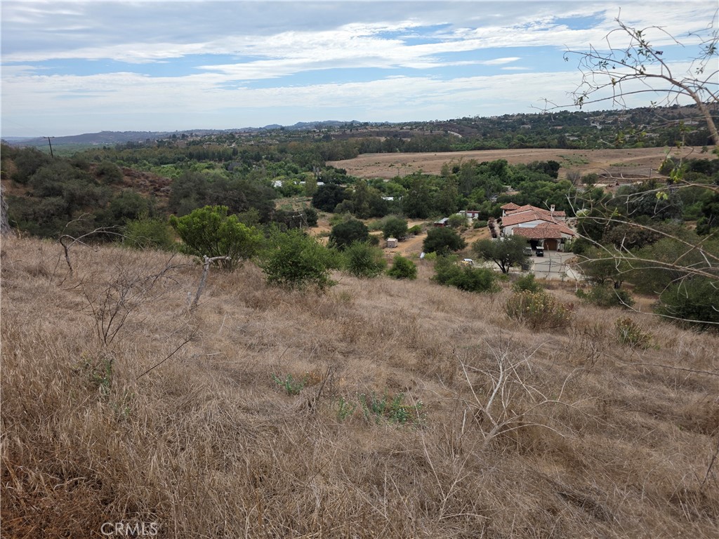 0 Live Oak Creek Circle Property Photo 9