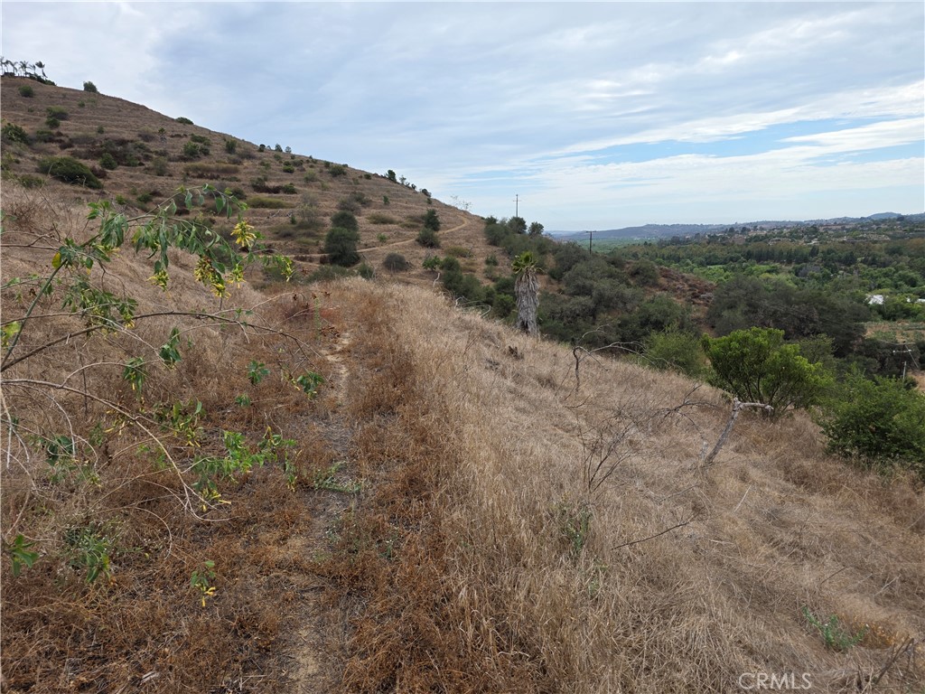 0 Live Oak Creek Circle Property Photo 10
