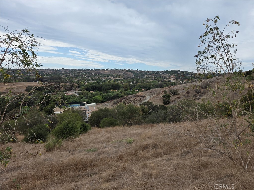 0 Live Oak Creek Circle Property Photo 11