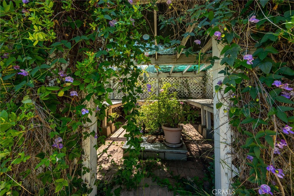 26500 Rim Property Photo 56