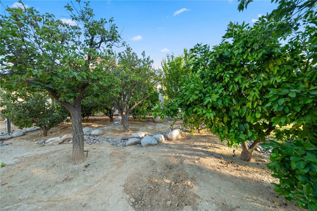 729 Smith Property Photo 44