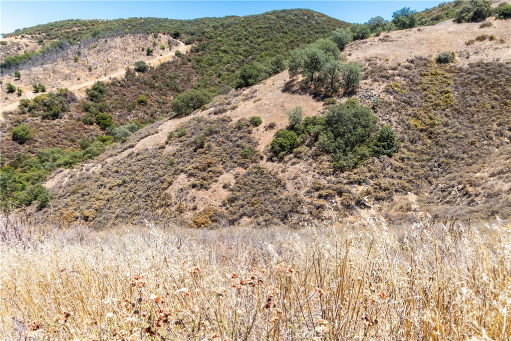 0 Wendy Lane Property Photo 12