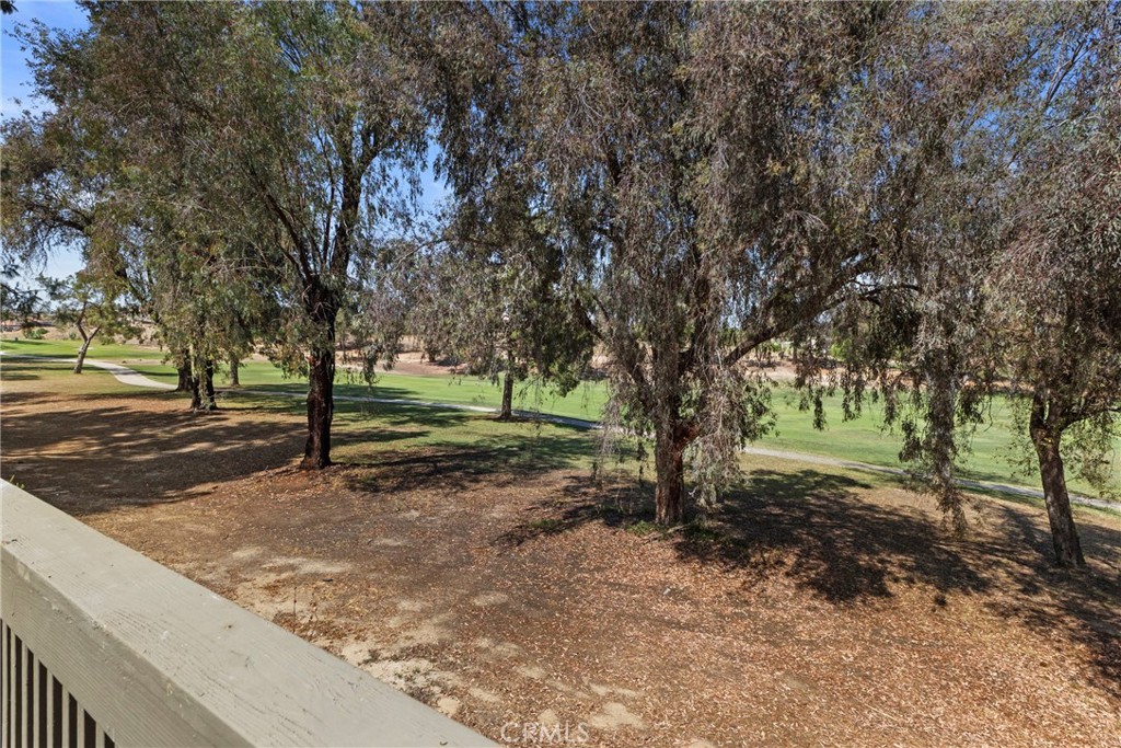 29424 Via La Plaza Property Photo 25