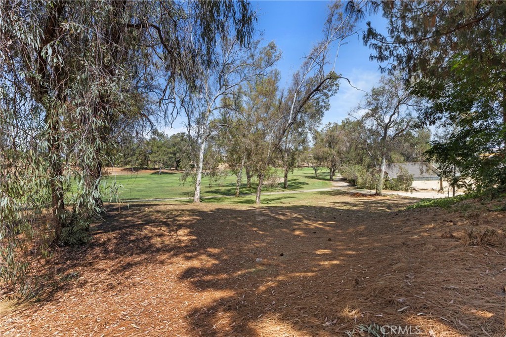 29424 Via La Plaza Property Photo 27
