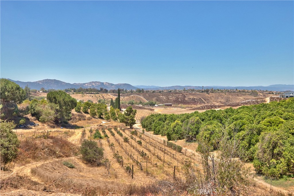 35010 Santa Rita Road Property Photo 30