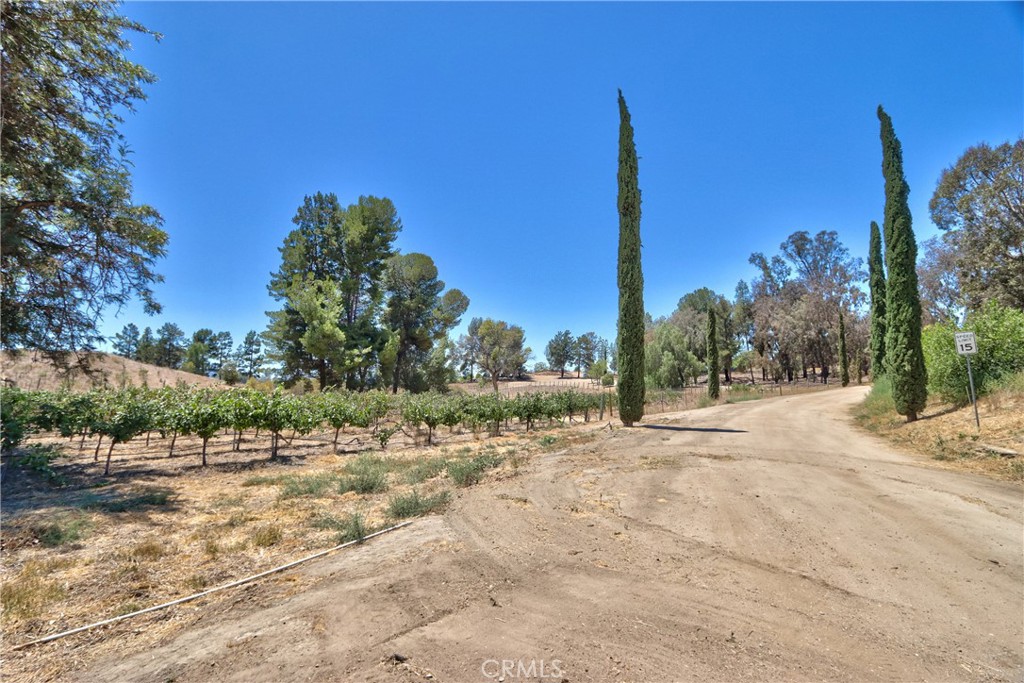 35010 Santa Rita Road Property Photo 34