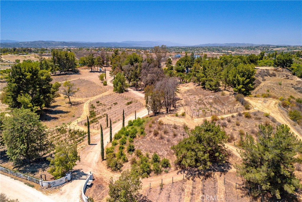 35010 Santa Rita Road Property Photo 37