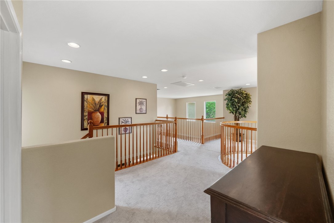 26352 Palm Tree Property Photo 34