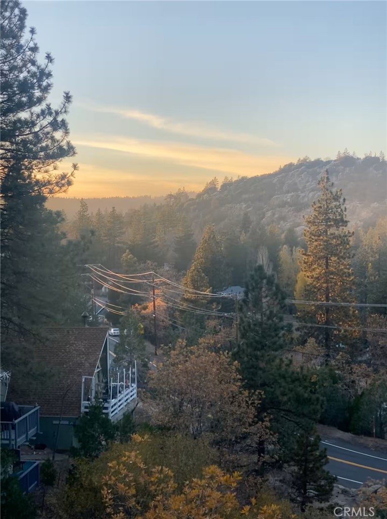 33012 Donner Property Photo 16