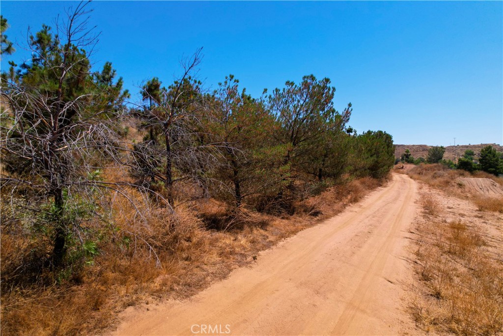 39282 San Ignacio Road Property Photo 15