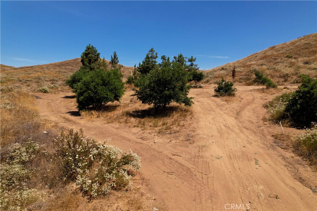 39282 San Ignacio Road Property Photo 19
