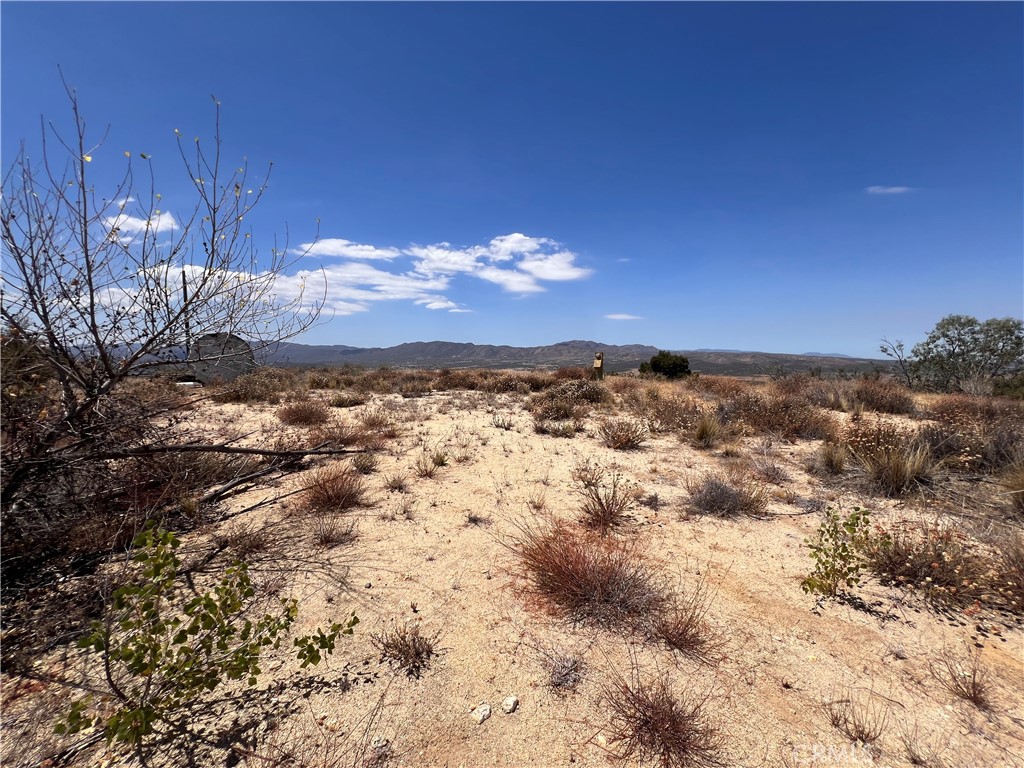 40700 Mountainside Property Photo 10