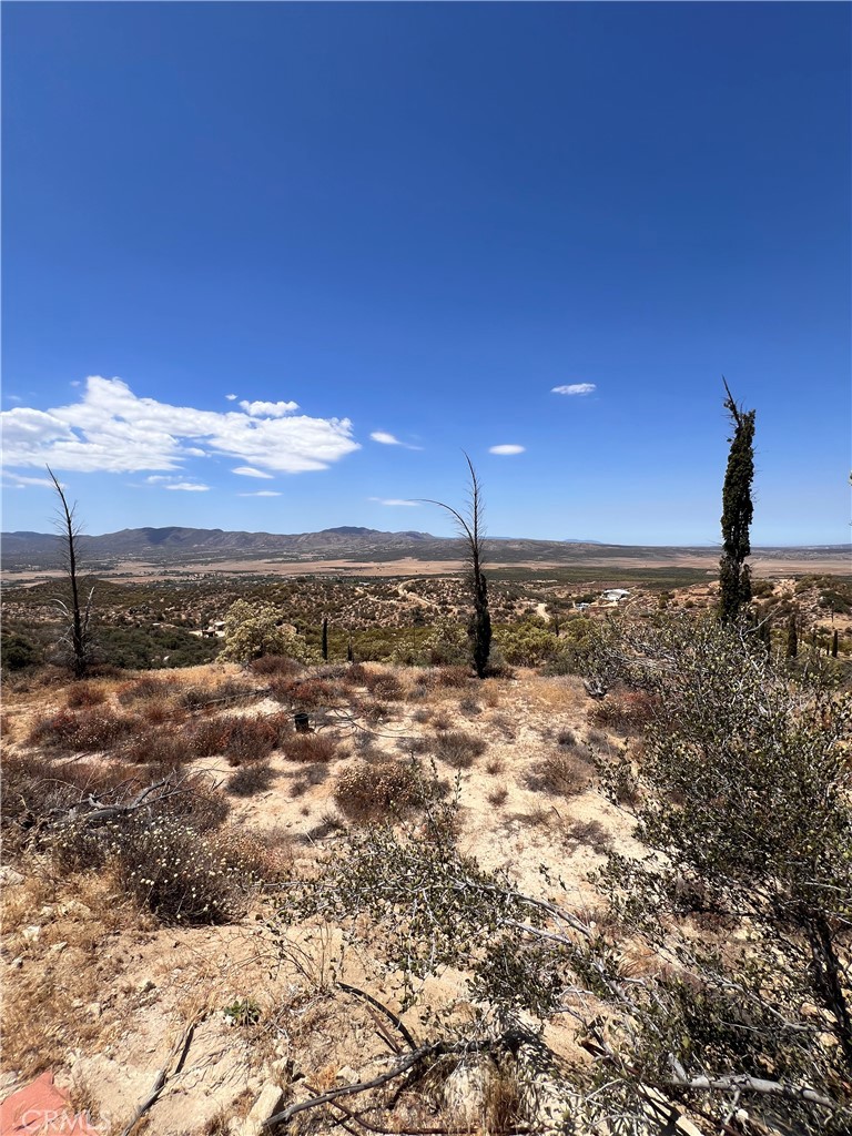 40700 Mountainside Property Photo 18