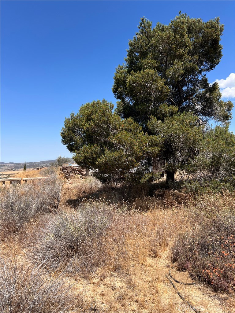 40700 Mountainside Property Photo 40