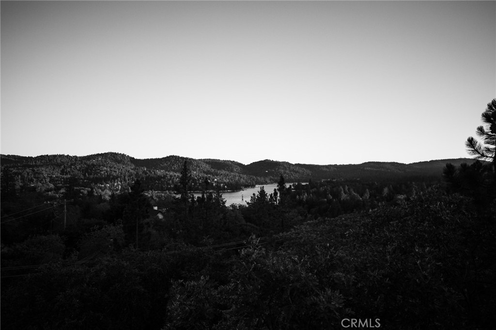1239 Yosemite Property Photo 7