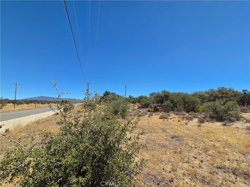 2 Terwilliger Property Photo 3