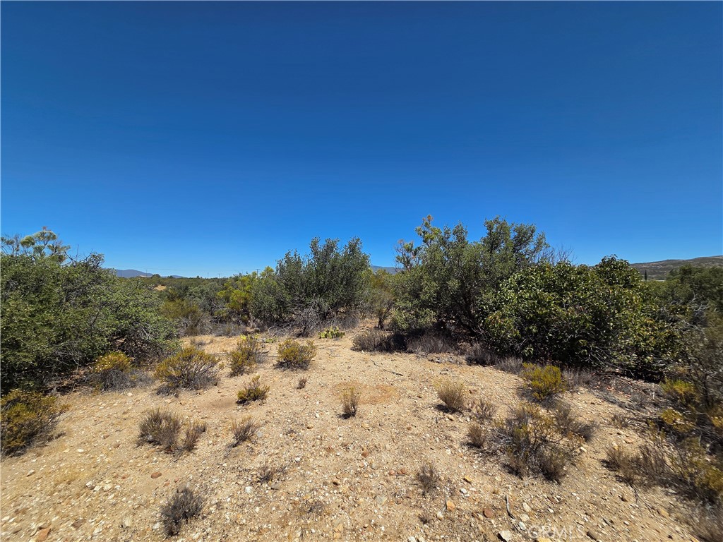 2 Terwilliger Property Photo 5