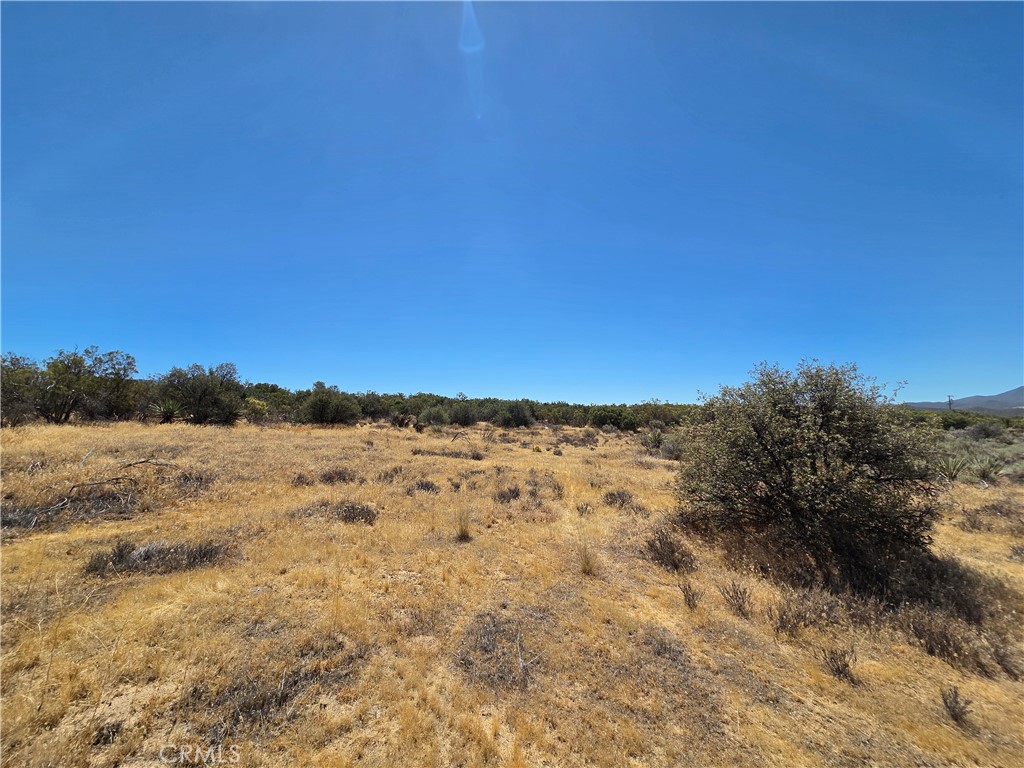 2 Terwilliger Property Photo 6
