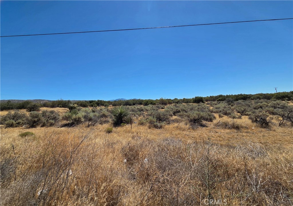2 Terwilliger Property Photo 7