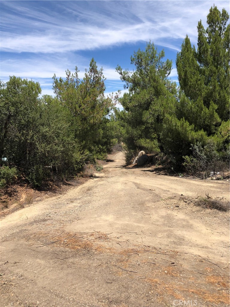 1 Calle Paramo Property Photo 6