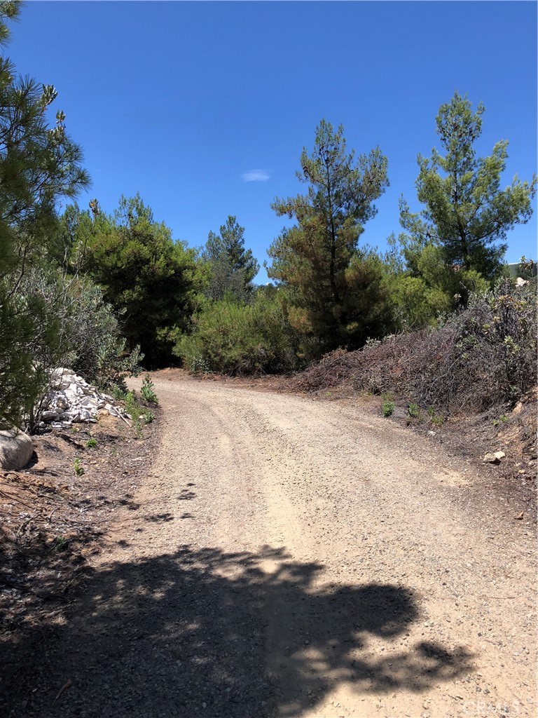 1 Calle Paramo Property Photo 8