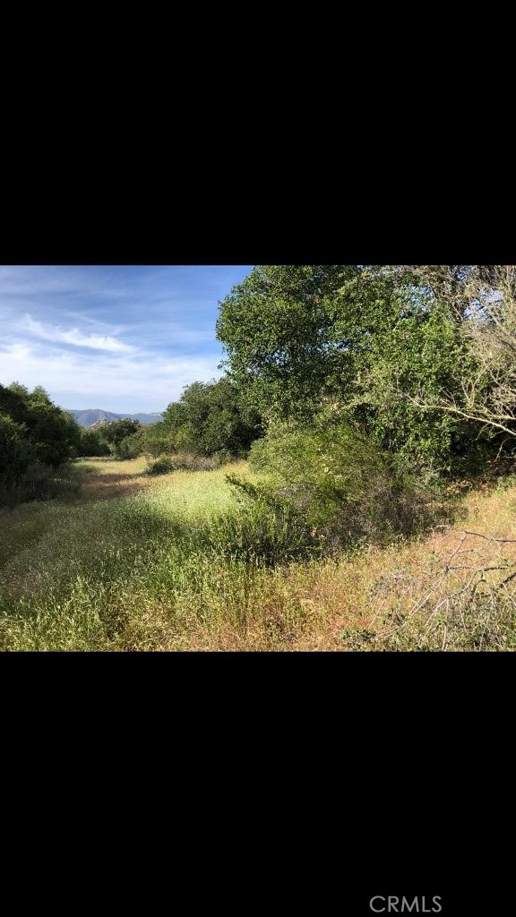 1 Calle Paramo Property Photo 17
