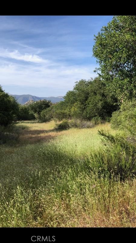 1 Calle Paramo Property Photo 19