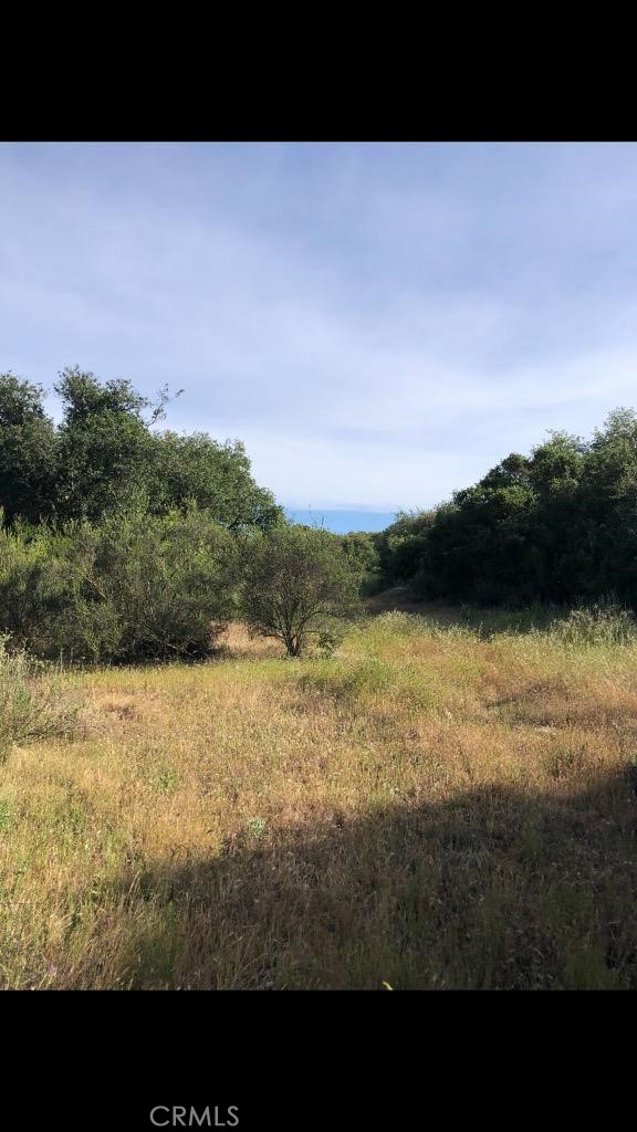 1 Calle Paramo Property Photo 20