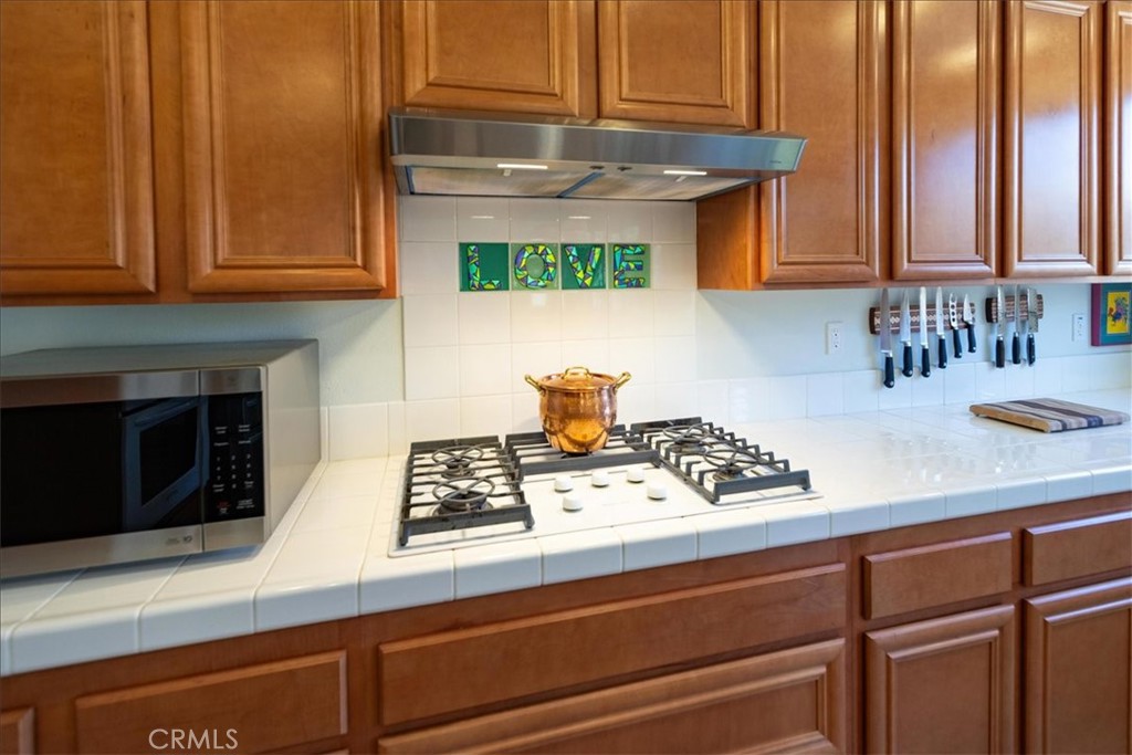 29516 Wind Runner Court Property Photo 30