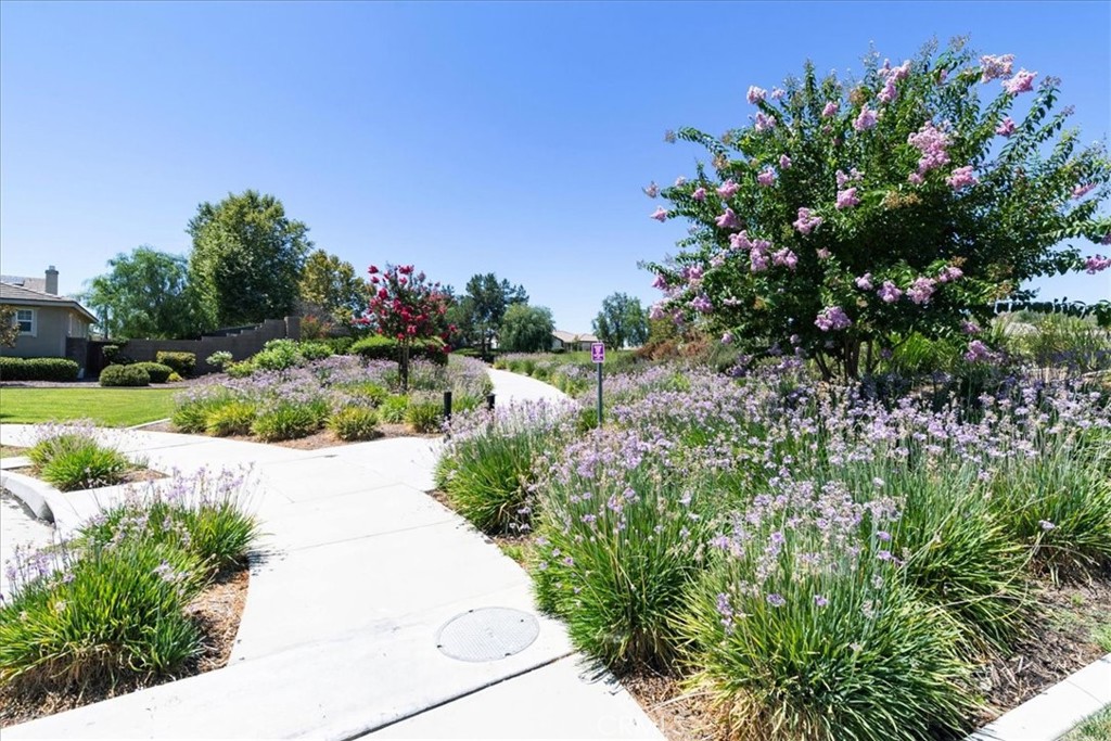 29516 Wind Runner Court Property Photo 58