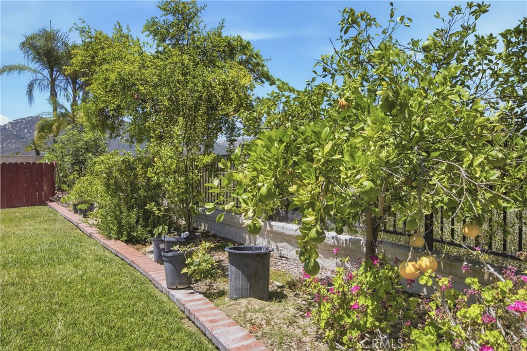31914 Calle Tiara S Property Photo 36