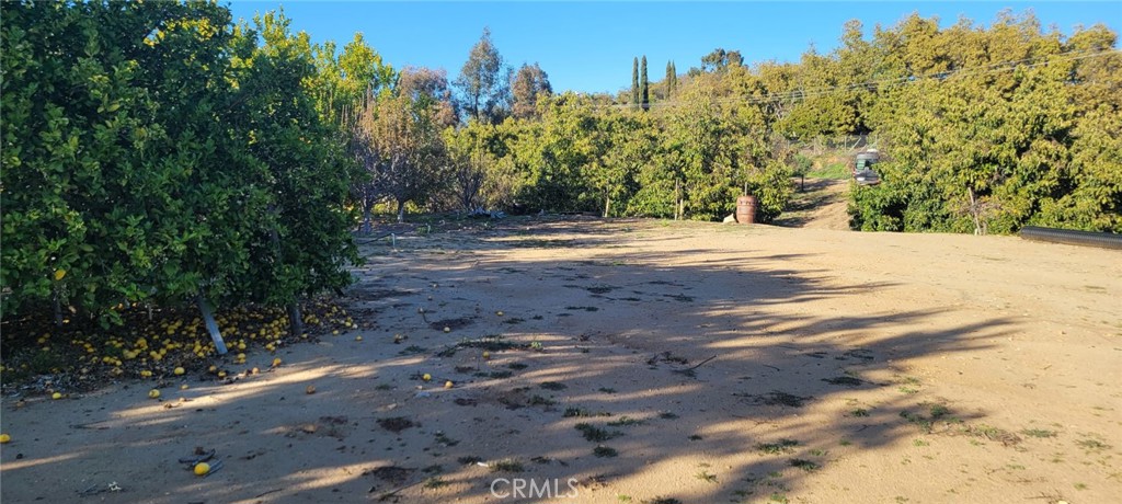 0 Calle Cuero Property Photo 1