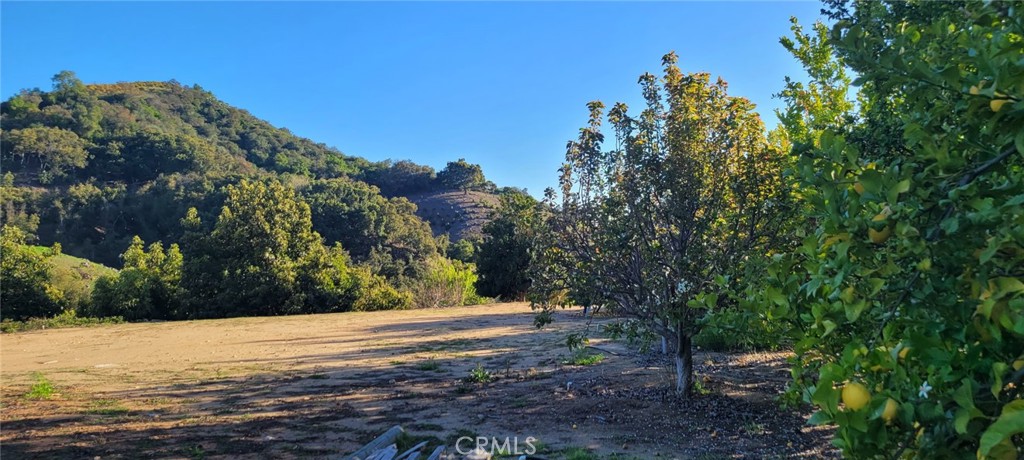 0 Calle Cuero Property Photo 2